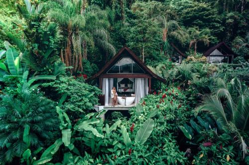 Oxygen Jungle Villas