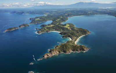 Travel to Paradise – Direct Flights to Costa Rica