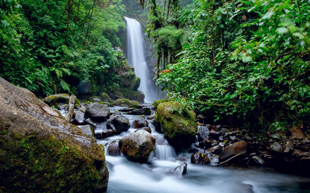 When Is the Best Time to Visit Costa Rica?
