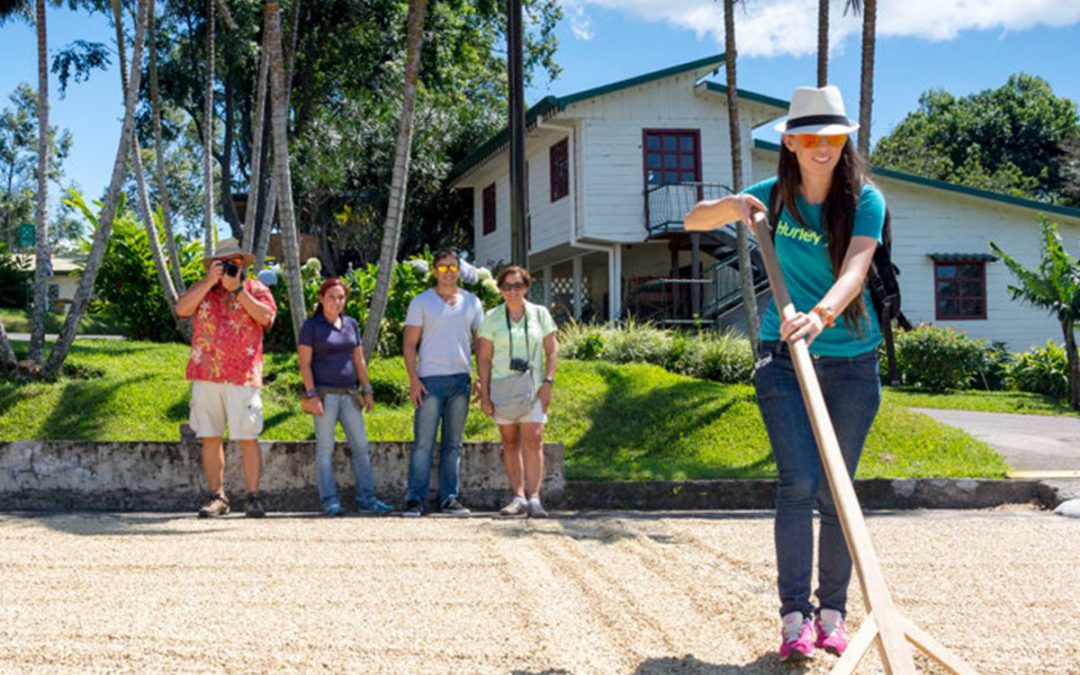 Costa Rica Luxury Tours: Why Planning Your Winter Trip Now Matters