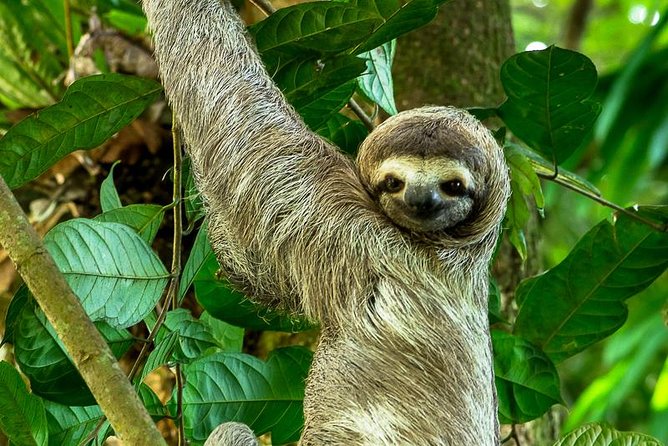 Wildlife & Nature Experiences