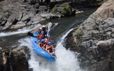 DMC Services - Activities _ Excursions