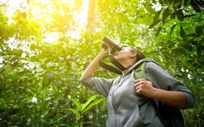 Leisure Services - Wildlife and Nature