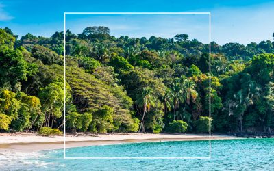 Costa Rica Vacations: Why Should I Choose This Destination?