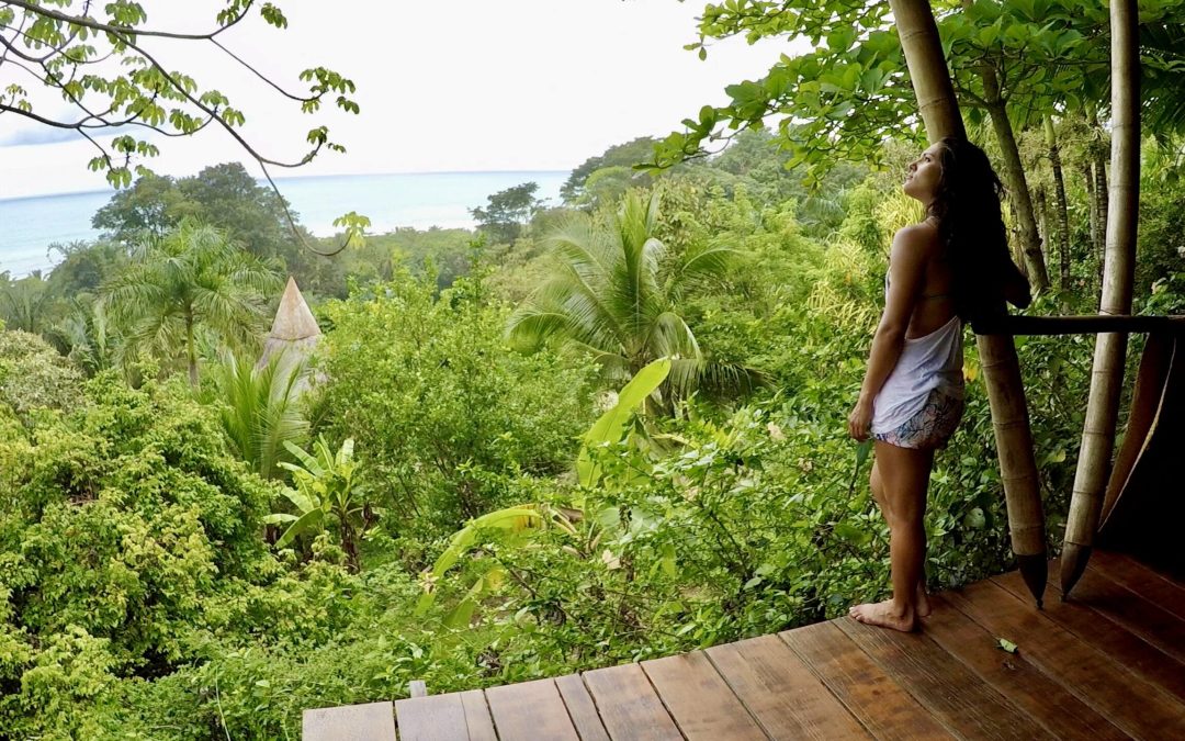 TAM Travel Corporation Celebrates A Sustainable New Year