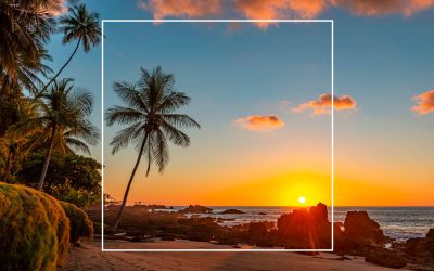 Elevate Your Costa Rica Travel Experience