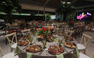 How TAM Travel Brings Your Incentive Program to Costa Rica