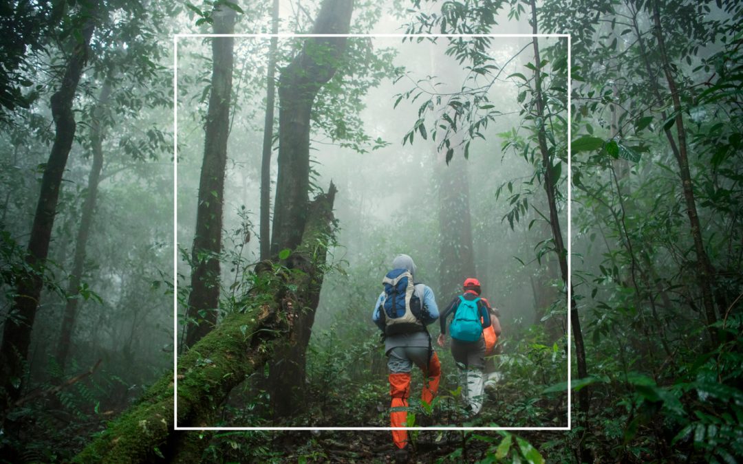 Costa Rica Destination Management Companies: Why DMCs Matter