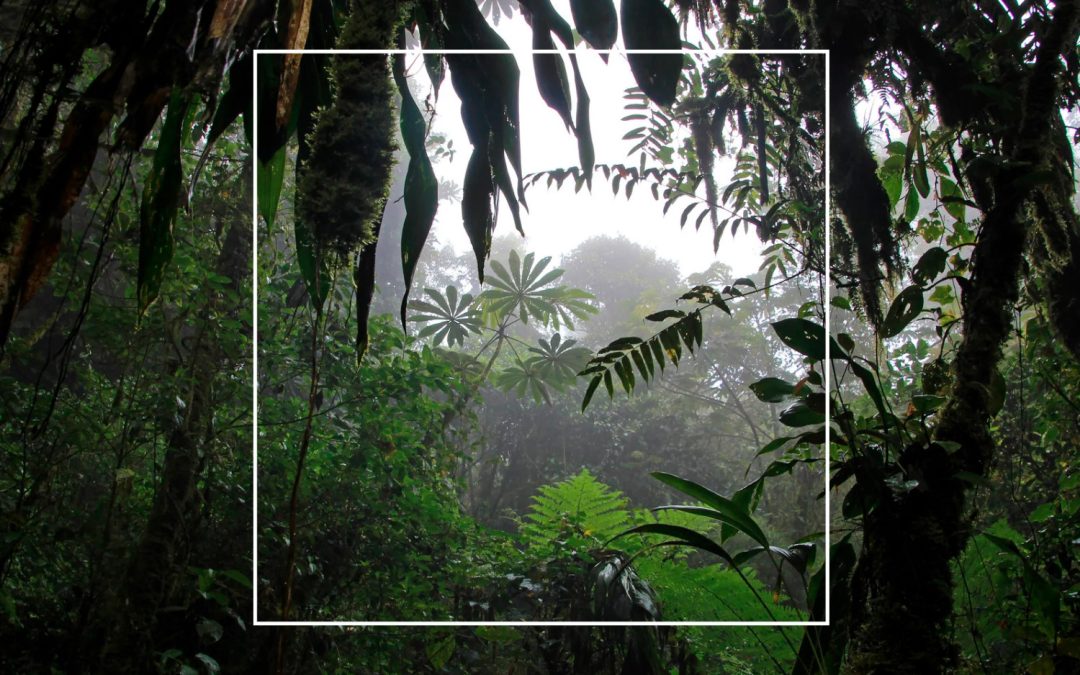 Ultimate Bucket List: 12 Natural Wonders in Costa Rica That Will Blow Your Mind