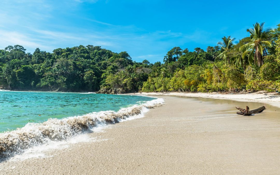Complete Guide To The Pacific Coast Of Costa Rica