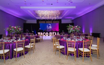 Corporate Retreats in Costa Rica: Why TAM is Your Expert Partner