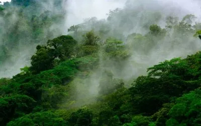 Ultimate Bucket List: 12 Natural Wonders in Costa Rica That Will Blow Your Mind