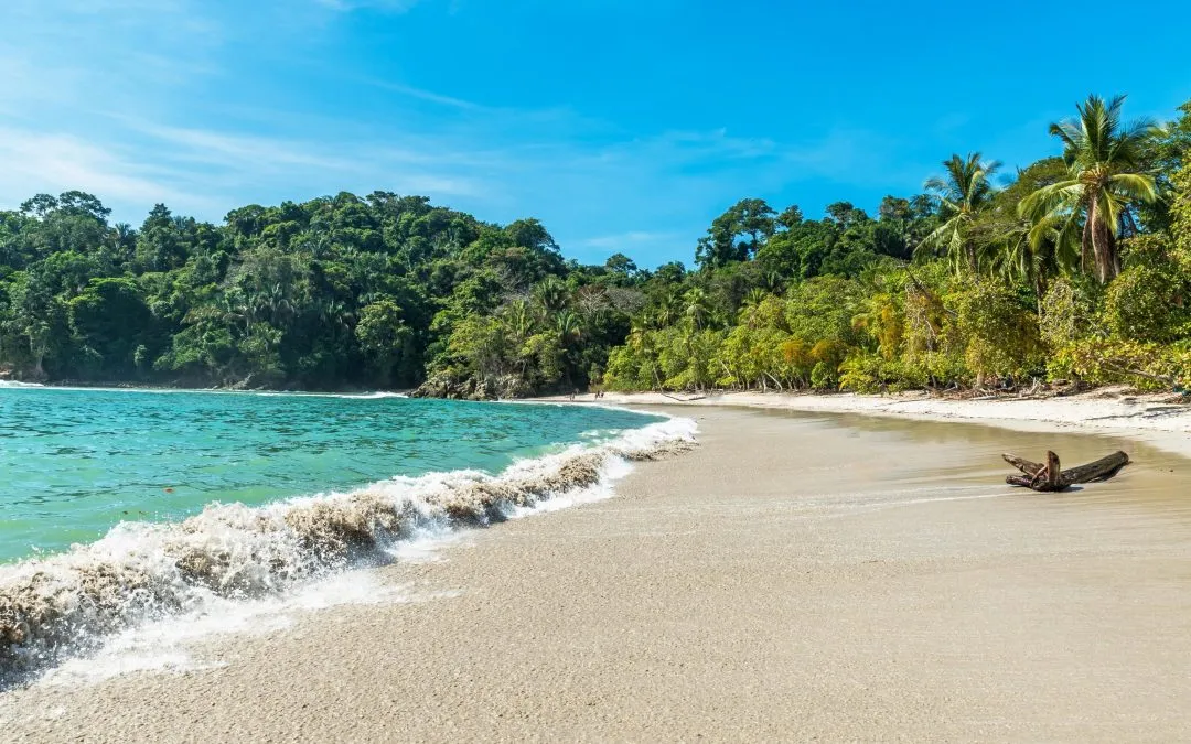 Complete Guide To The Pacific Coast Of Costa Rica
