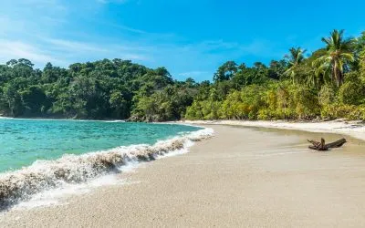 Complete Guide To The Pacific Coast Of Costa Rica