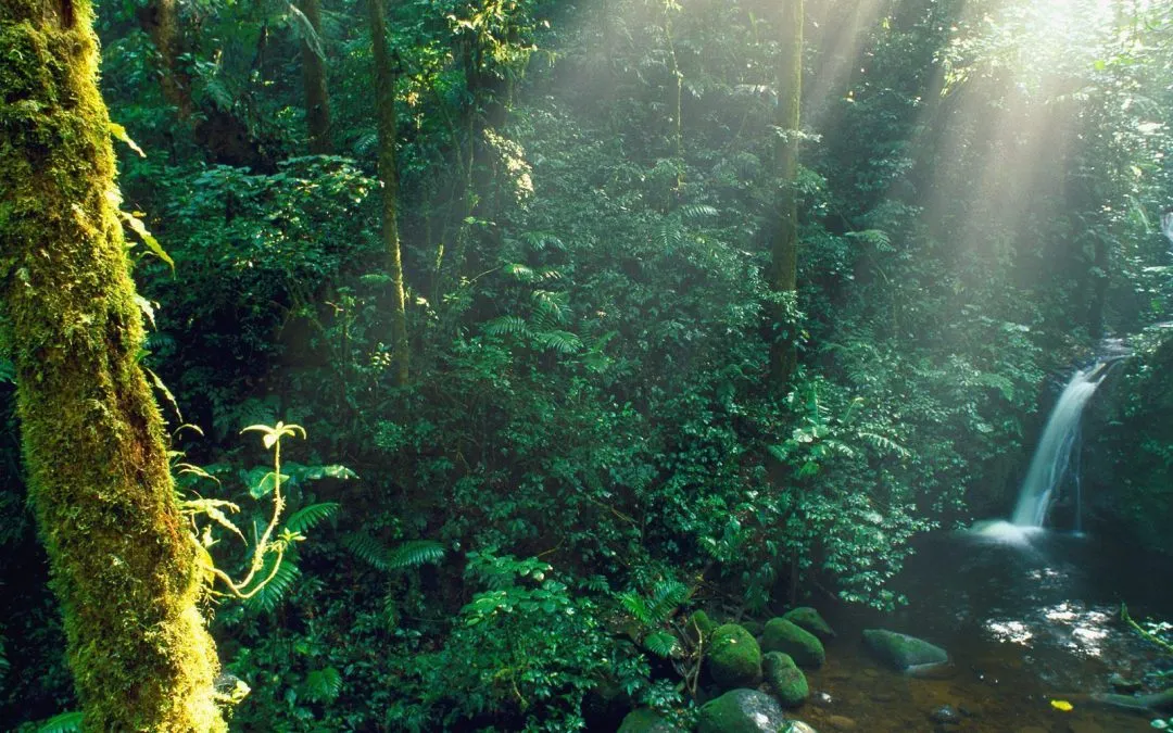 Planning the Perfect Luxury Family Vacation in Costa Rica