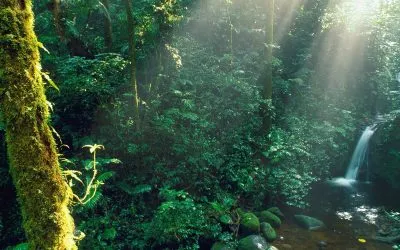 Planning the Perfect Luxury Family Vacation in Costa Rica