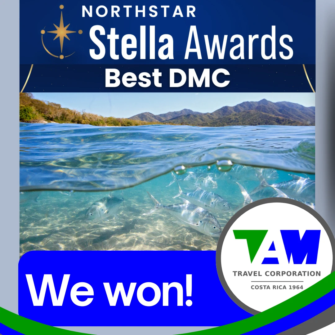 TAM Stella Award