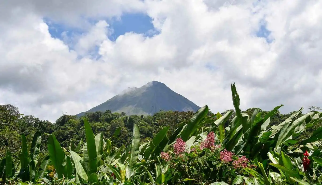 Mountain