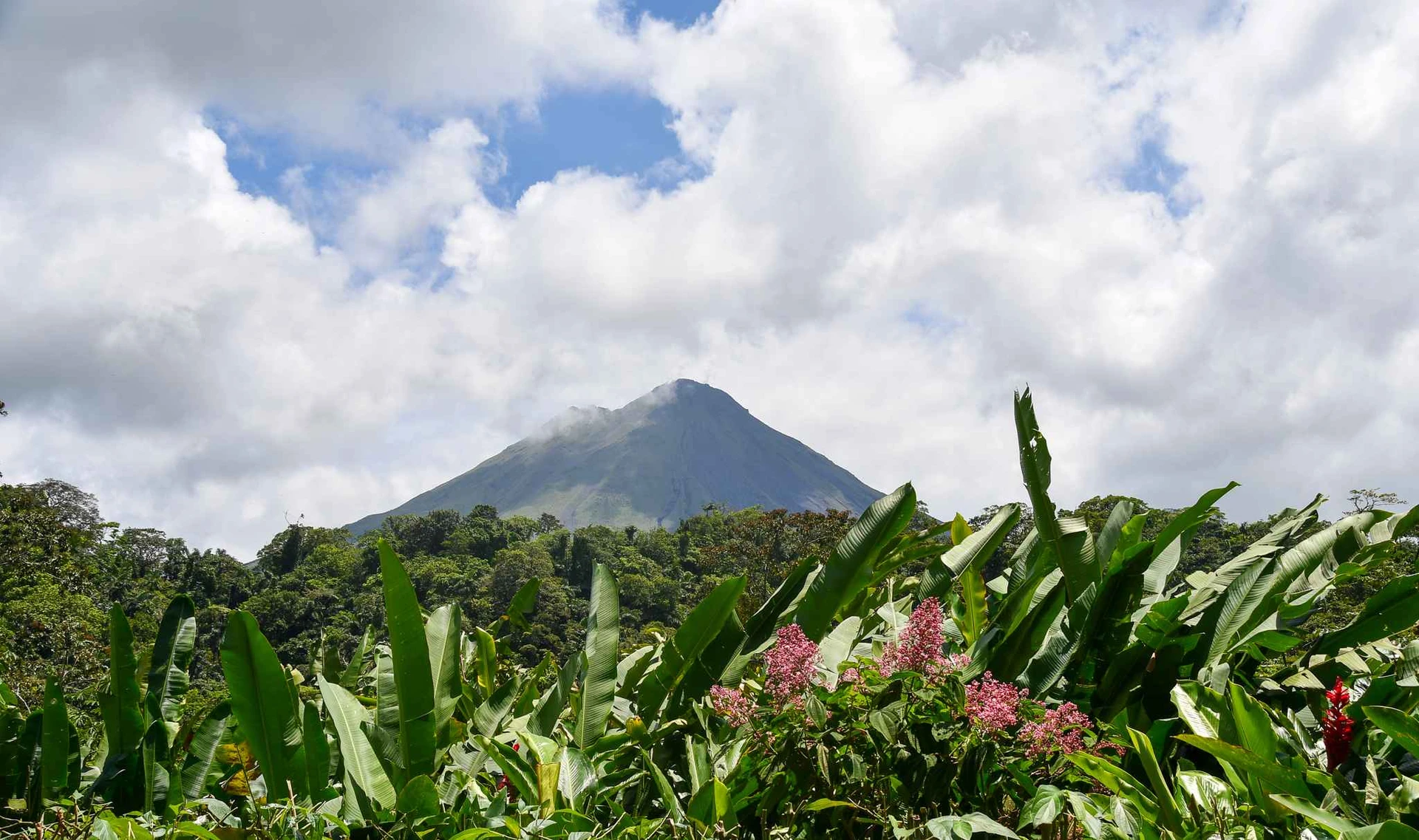 Nature with mountain