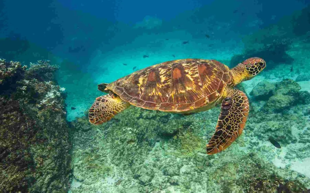 When Is the Best Time to Visit Costa Rica?